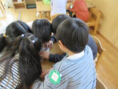 令和７年１１月２１日（金）きくぐみクッキング